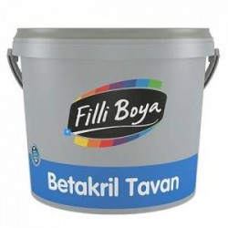Tavan Boyaları